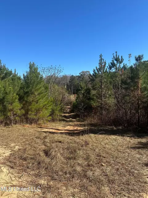 Deer Ridge Road, Mccomb, MS 39648 photo 15
