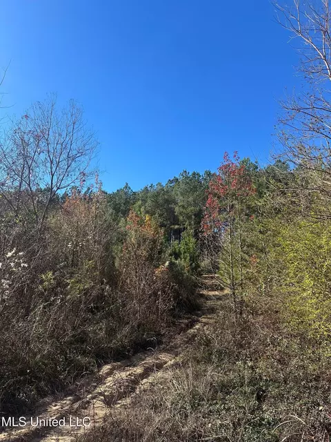 Deer Ridge Road, Mccomb, MS 39648 photo 9