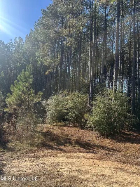 Deer Ridge Road, Mccomb, MS 39648 photo 10