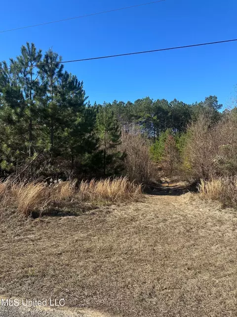 Deer Ridge Road, Mccomb, MS 39648 photo 8