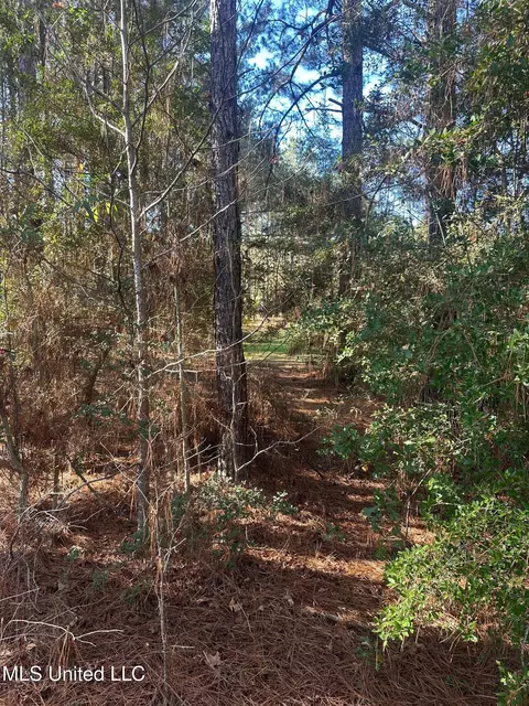 Deer Ridge Road, Mccomb, MS 39648 photo 14