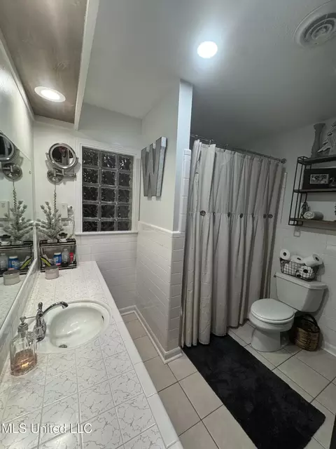 Bath - 246 2nd St, Flora, MS 39071 photo 4 of 4