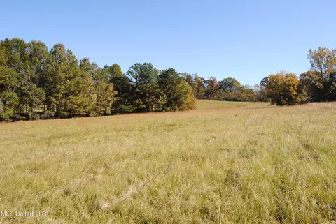 Chestnut Hill Road, Flora, MS 39071