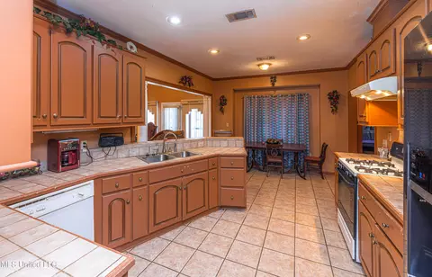 259 E Cobbville Dr, Canton, MS 39046 photo 10