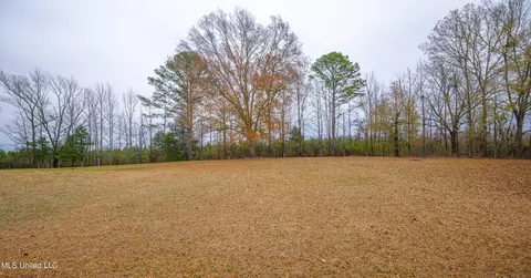 259 E Cobbville Dr, Canton, MS 39046 photo 39