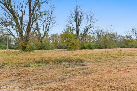 Other - 3248 Stonecypher Rd, Lucedale, MS 39452 photo 7 of 8
