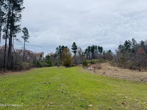 1445 Parsons Rd, Raymond, MS 39154 photo 3