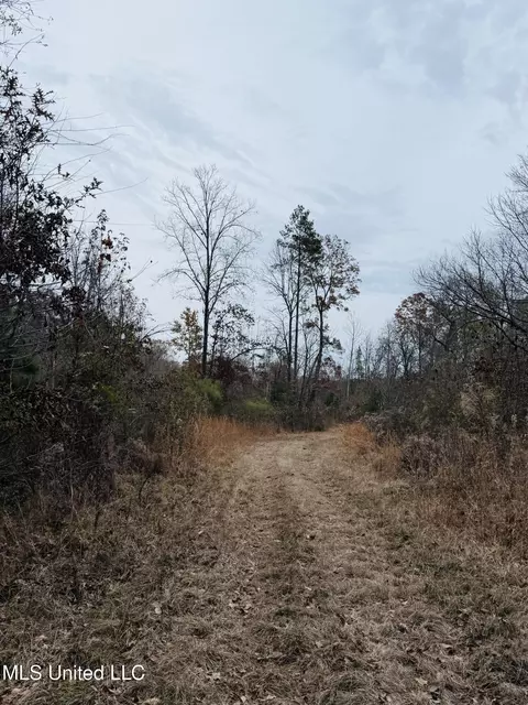 1445 Parsons Rd, Raymond, MS 39154 photo 18