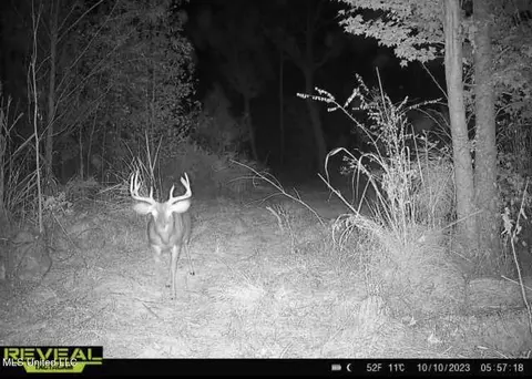 1445 Parsons Rd, Raymond, MS 39154 photo 36