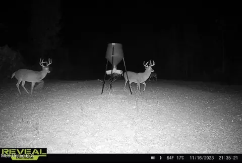 1445 Parsons Rd, Raymond, MS 39154 photo 50