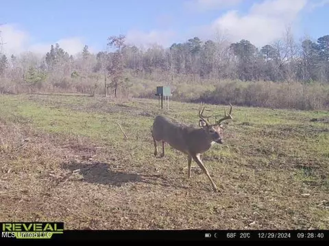 1445 Parsons Rd, Raymond, MS 39154 photo 32
