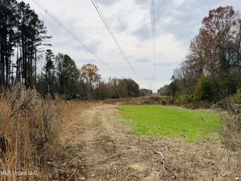 1445 Parsons Rd, Raymond, MS 39154 photo 17