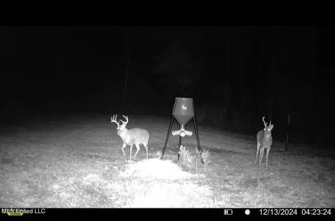 1445 Parsons Rd, Raymond, MS 39154 photo 39