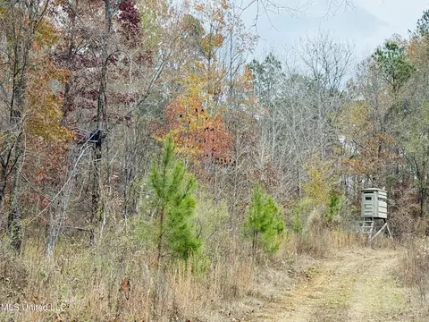 1445 Parsons Rd, Raymond, MS 39154 photo 5
