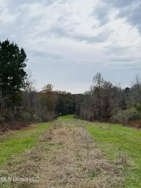 1445 Parsons Rd, Raymond, MS 39154 photo 12