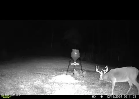 1445 Parsons Rd, Raymond, MS 39154 photo 33
