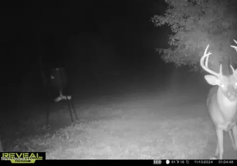 1445 Parsons Rd, Raymond, MS 39154 photo 42