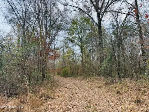 1445 Parsons Rd, Raymond, MS 39154 photo 8