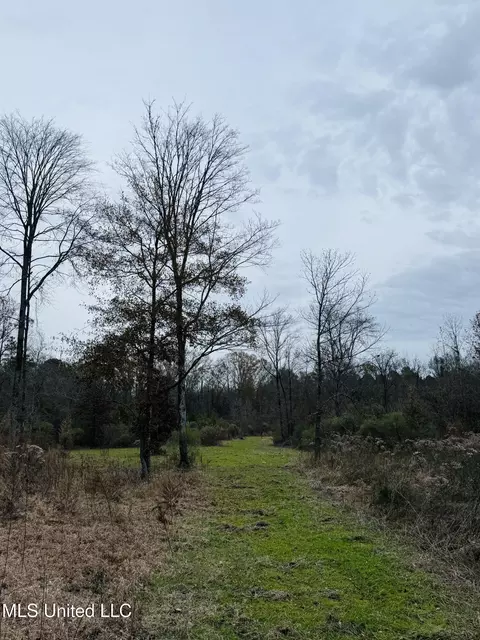 1445 Parsons Rd, Raymond, MS 39154 photo 20