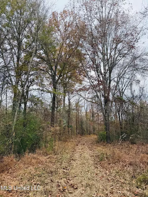 1445 Parsons Rd, Raymond, MS 39154 photo 28