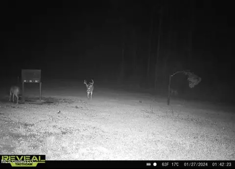 1445 Parsons Rd, Raymond, MS 39154 photo 48