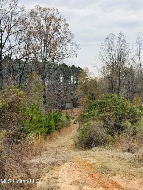 1445 Parsons Rd, Raymond, MS 39154 photo 16