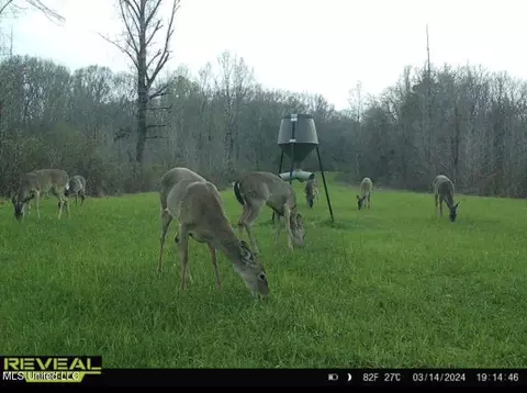 1445 Parsons Rd, Raymond, MS 39154 photo 45