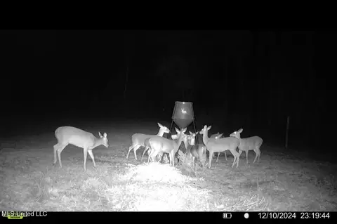1445 Parsons Rd, Raymond, MS 39154 photo 34