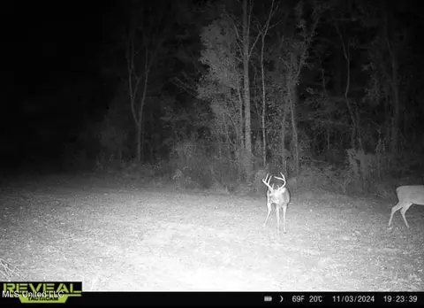 1445 Parsons Rd, Raymond, MS 39154 photo 43