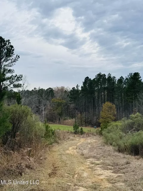 1445 Parsons Rd, Raymond, MS 39154 photo 10