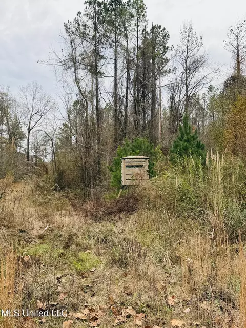 1445 Parsons Rd, Raymond, MS 39154 photo 11