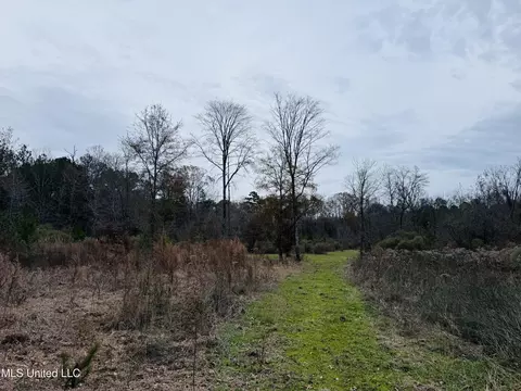 1445 Parsons Rd, Raymond, MS 39154 photo 19