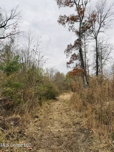 1445 Parsons Rd, Raymond, MS 39154 photo 27