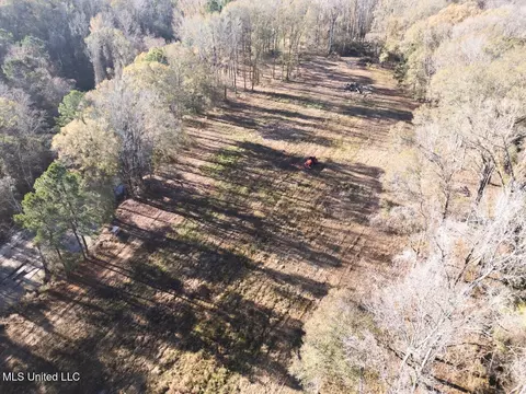 10787 Old Highway 24 Ln, Woodville, MS 39669