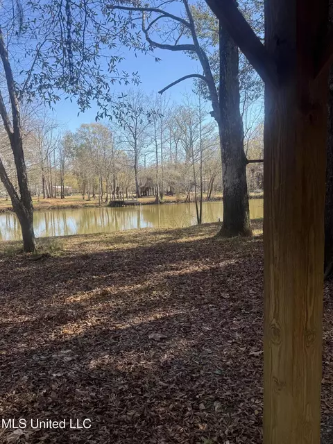 Other - 114 Holly Ln, Lucedale, MS 39452 photo 10 of 10