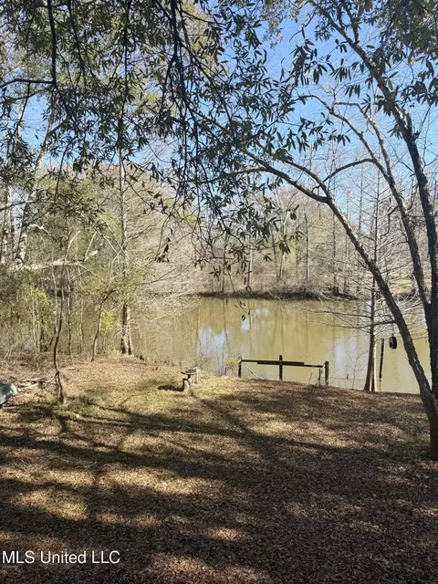 View/Area - 114 Holly Ln, Lucedale, MS 39452 photo 4 of 6