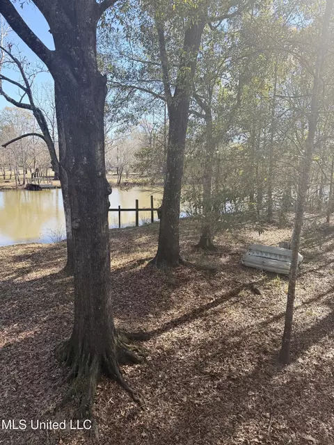 View/Area - 114 Holly Ln, Lucedale, MS 39452 photo 1 of 6