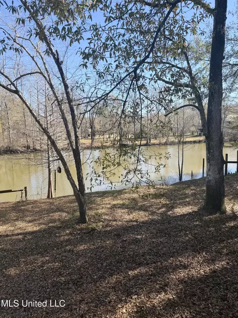 View/Area - 114 Holly Ln, Lucedale, MS 39452 photo 3 of 6