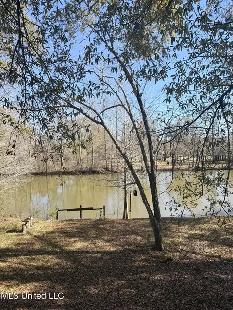 View/Area - 114 Holly Ln, Lucedale, MS 39452 photo 6 of 6