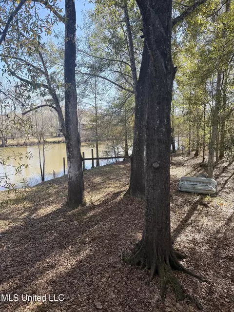 View/Area - 114 Holly Ln, Lucedale, MS 39452 photo 2 of 6