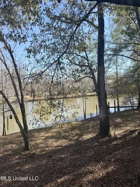 View/Area - 114 Holly Ln, Lucedale, MS 39452 photo 5 of 6