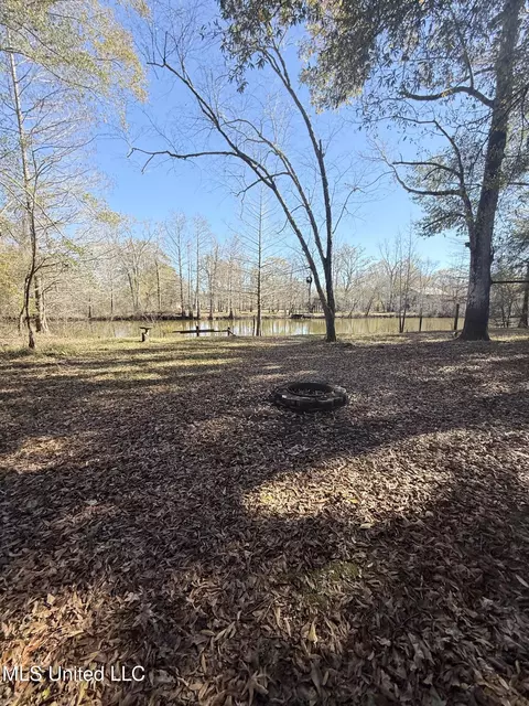 Exterior - 114 Holly Ln, Lucedale, MS 39452 photo 6 of 8
