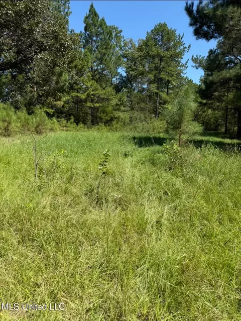 County Road 1113, Kosciusko, MS 39090