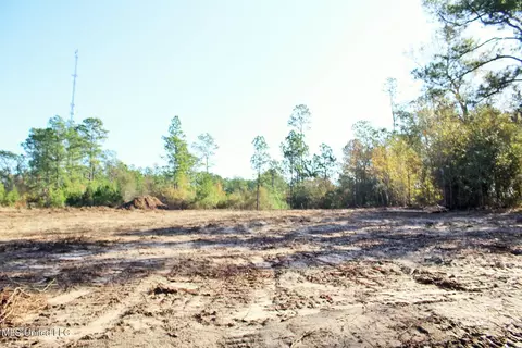 2 48ac Jones Rd, Lucedale, MS 39452