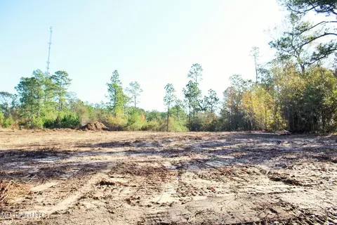 2 48ac Jones Rd, Lucedale, MS 39452 photo 8