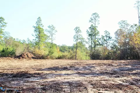 2 48ac Jones Rd, Lucedale, MS 39452 photo 3