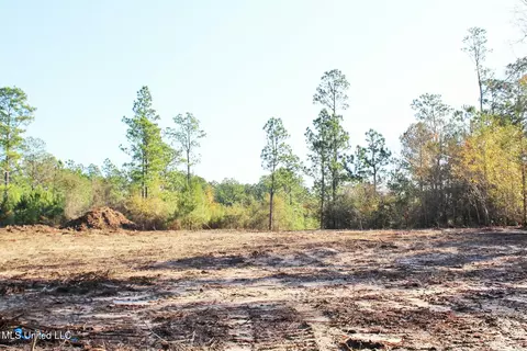 2 48ac Jones Rd, Lucedale, MS 39452 photo 5