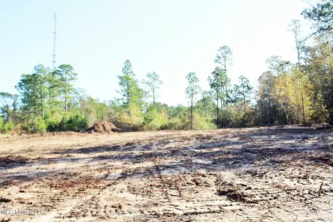2 48ac Jones Rd, Lucedale, MS 39452 photo 10