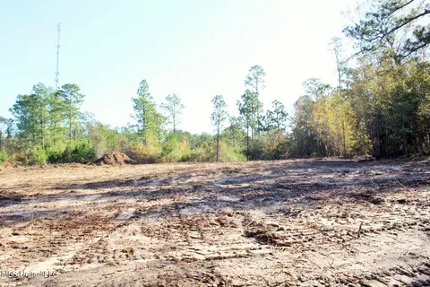 2 48ac Jones Rd, Lucedale, MS 39452 photo 9