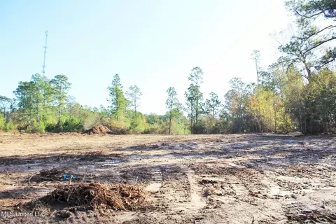 2 48ac Jones Rd, Lucedale, MS 39452 photo 6